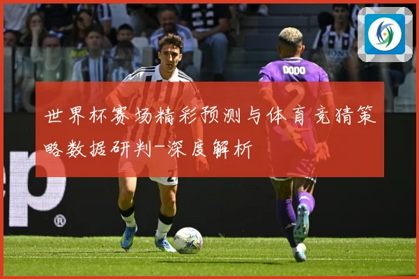 世界杯赛场精彩预测与体育竞猜策略数据研判-深度解析