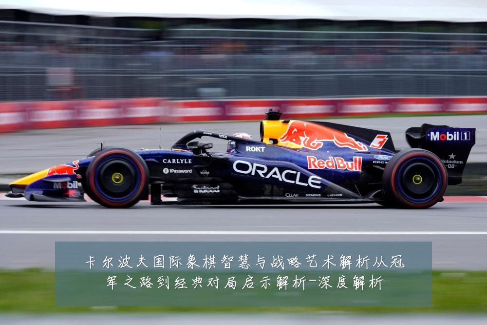 卡尔波夫国际象棋智慧与战略艺术解析从冠军之路到经典对局启示解析-深度解析